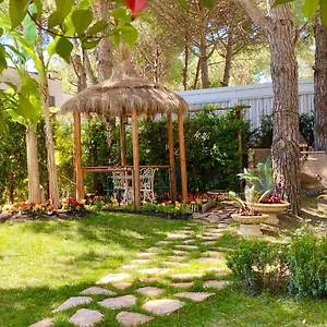 https://beach-garden-paradise.albaniahotels.org