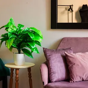 https://cane-apartments-2.albaniahotels.org